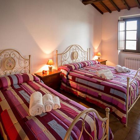 Coltavolino Agriturismo La Collina Del Sole المظهر الخارجي الصورة