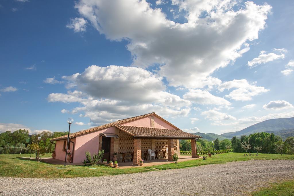 Coltavolino Agriturismo La Collina Del Sole المظهر الخارجي الصورة